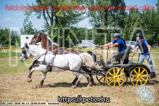 Mintakép 20260613-1071