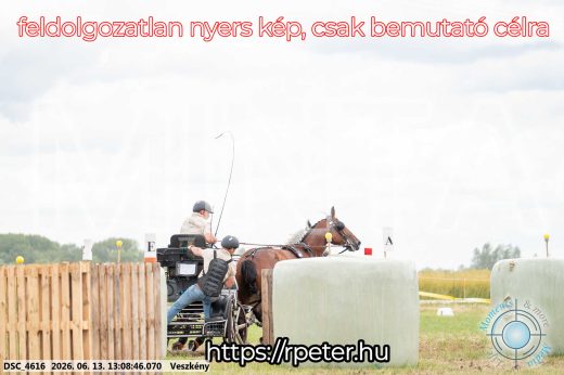 Mintakép 20260613-13