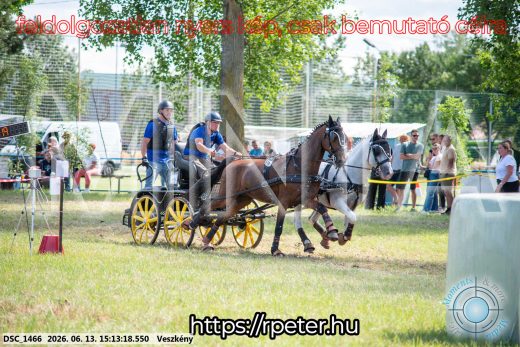 Mintakép 20260613-1076