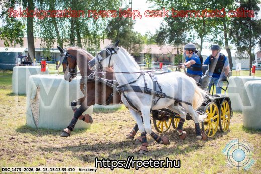 Mintakép 20260613-1082