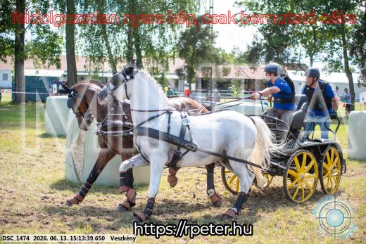 Mintakép 20260613-1083