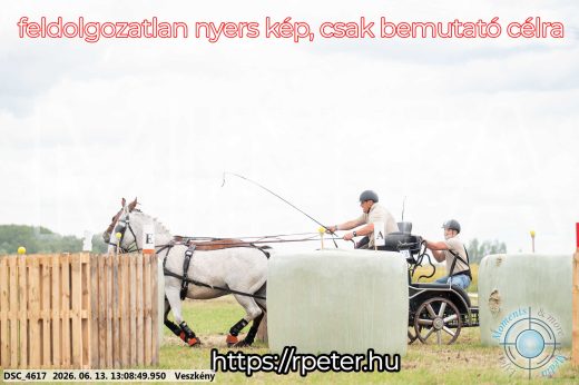 Mintakép 20260613-14