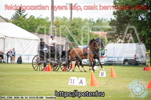 Mintakép 20260614-381