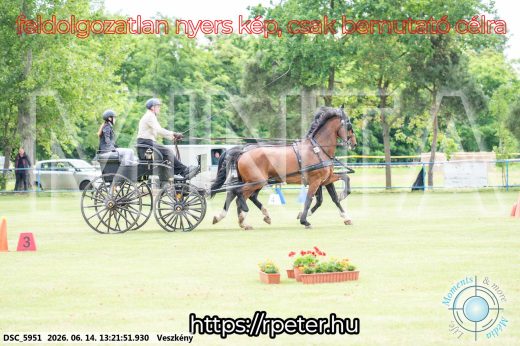Mintakép 20260614-382