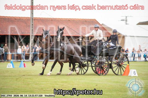 Mintakép 20260614-386
