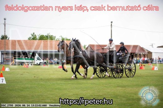 Mintakép 20260614-388