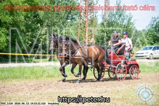 Mintakép 20260613-1086