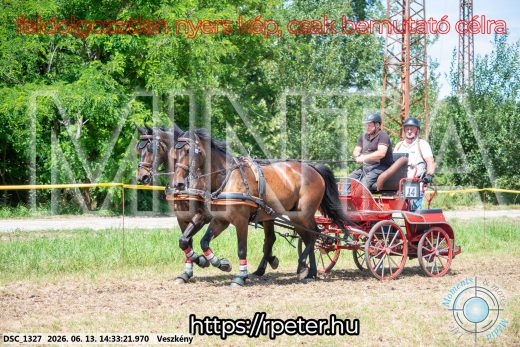 Mintakép 20260613-1087