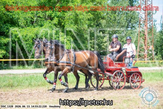 Mintakép 20260613-1088