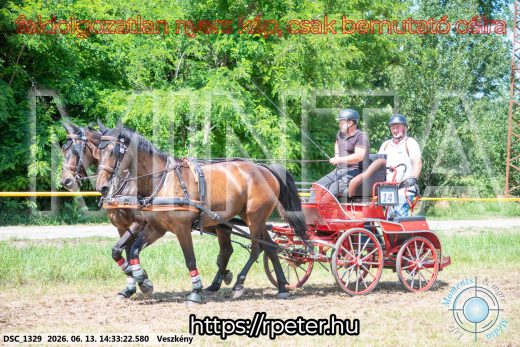 Mintakép 20260613-1089