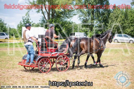 Mintakép 20260613-1091