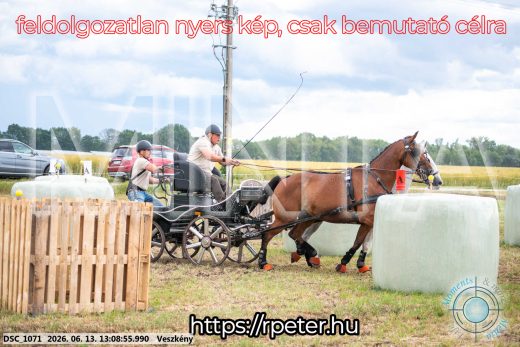 Mintakép 20260613-19