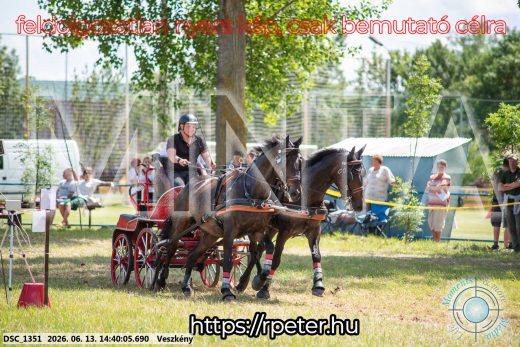 Mintakép 20260613-1099