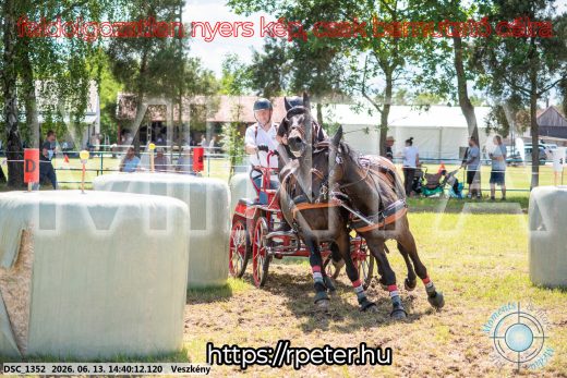 Mintakép 20260613-1100