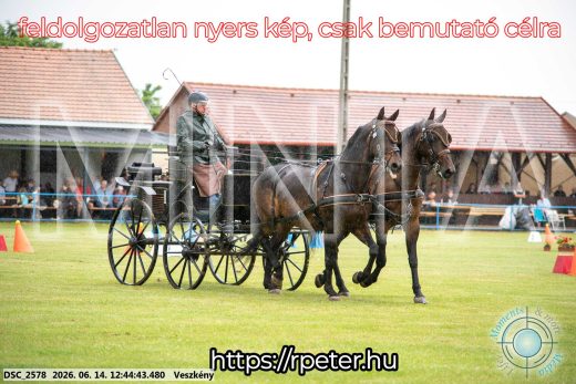 Mintakép 20260614-411