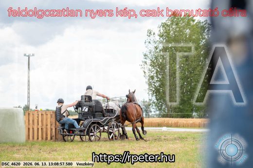 Mintakép 20260613-22