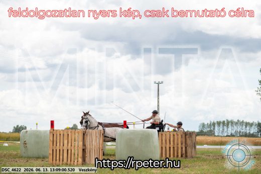 Mintakép 20260613-24