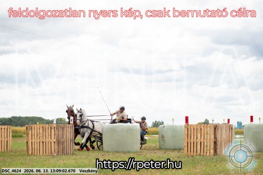 Mintakép 20260613-26