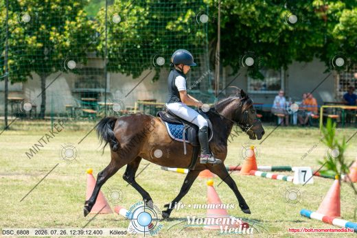 Mintakép 20260726-1782