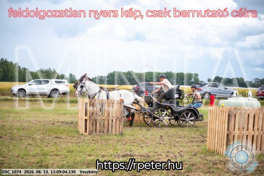 Mintakép 20260613-29