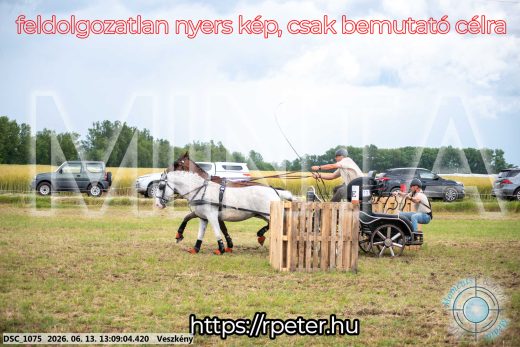 Mintakép 20260613-30