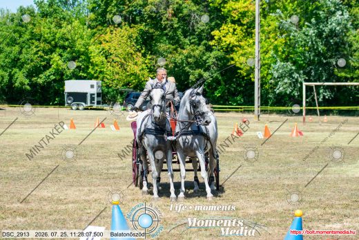 20260725-112807-DSC_2913.jpg