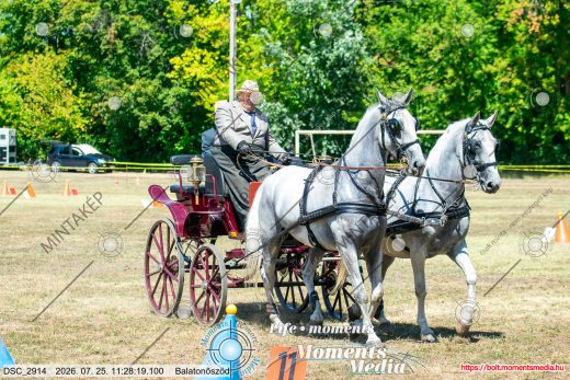 20260725-112819-DSC_2914.jpg