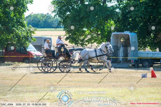 Mintakép 20260725-41