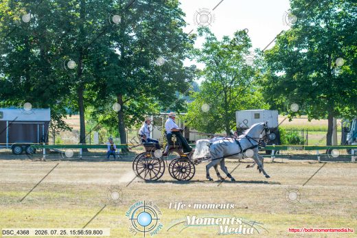 Mintakép 20260725-43