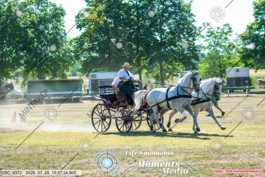 Mintakép 20260725-46
