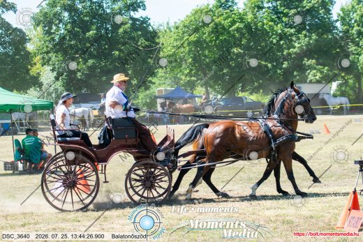 Mintakép 20260725-73