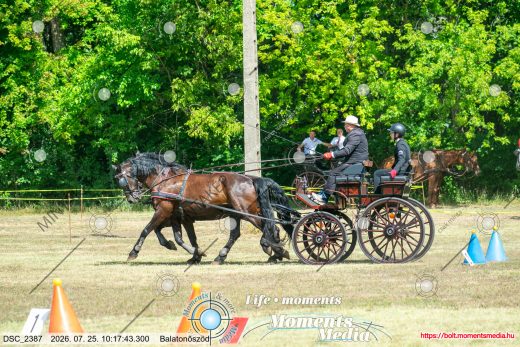 20260725-101743-DSC_2387.jpg