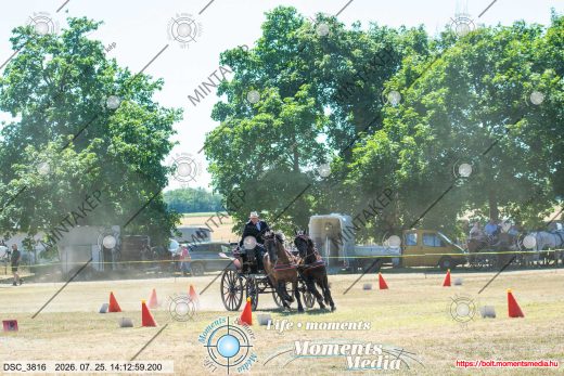 Mintakép 20260725-92