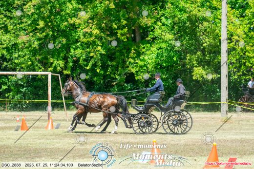 20260725-112434-DSC_2888.jpg