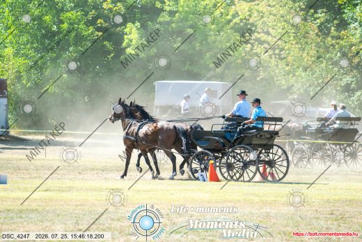 Mintakép 20260725-130