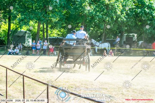 Mintakép 20260725-137