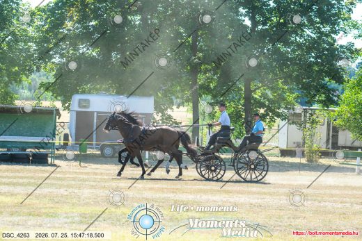 Mintakép 20260725-143