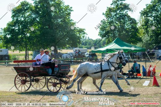 Mintakép 20260725-188