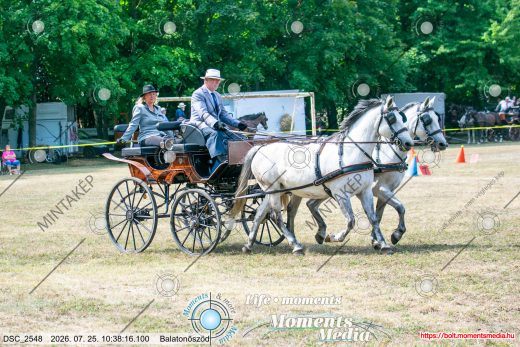 20260725-103816-DSC_2548.jpg