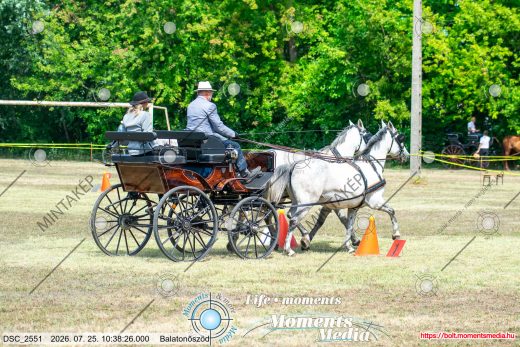 20260725-103826-DSC_2551.jpg