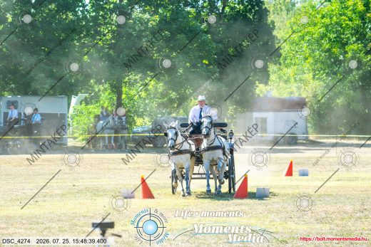 Mintakép 20260725-223