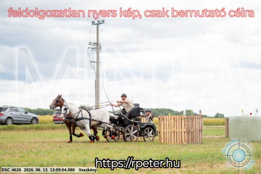 Mintakép 20260613-33