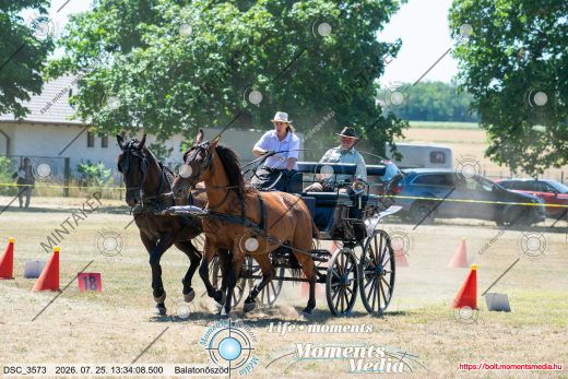 Mintakép 20260725-252