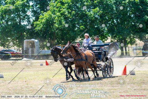 Mintakép 20260725-256