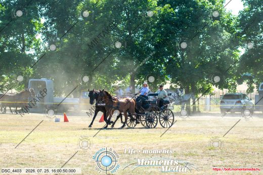 Mintakép 20260725-262