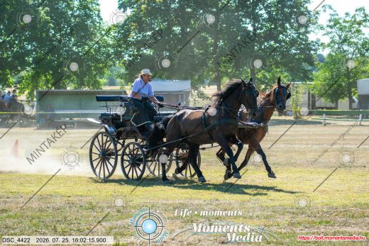 Mintakép 20260725-272