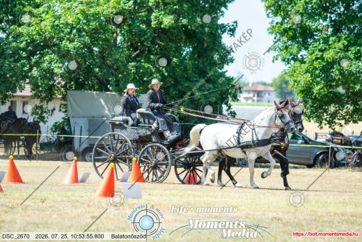 Mintakép 20260725-287
