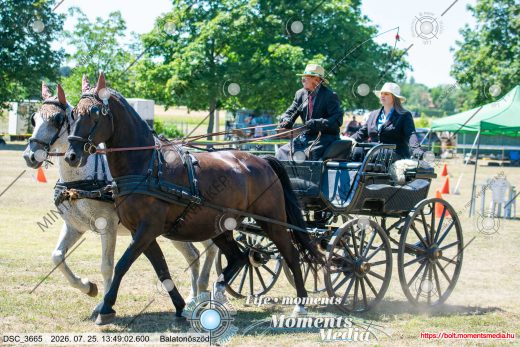 Mintakép 20260725-293