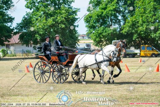 Mintakép 20260725-309