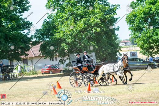 Mintakép 20260725-312